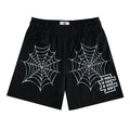 EE Spider Web